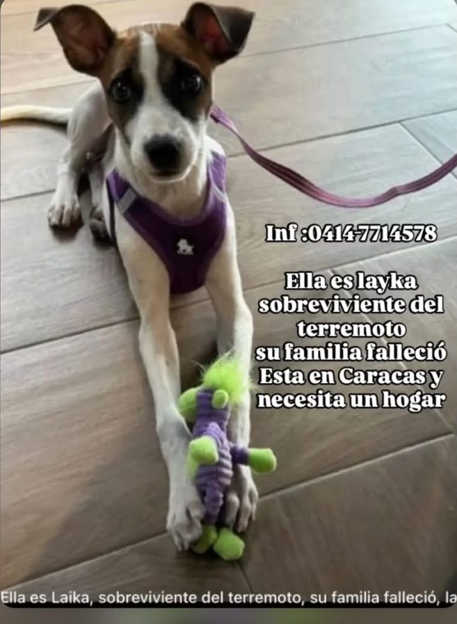 Laika