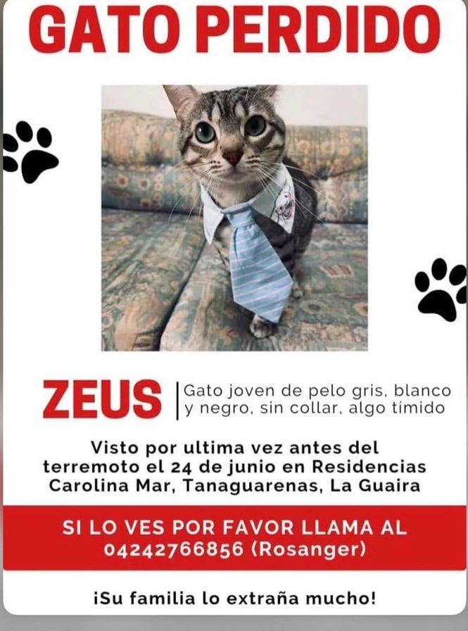 Zeus