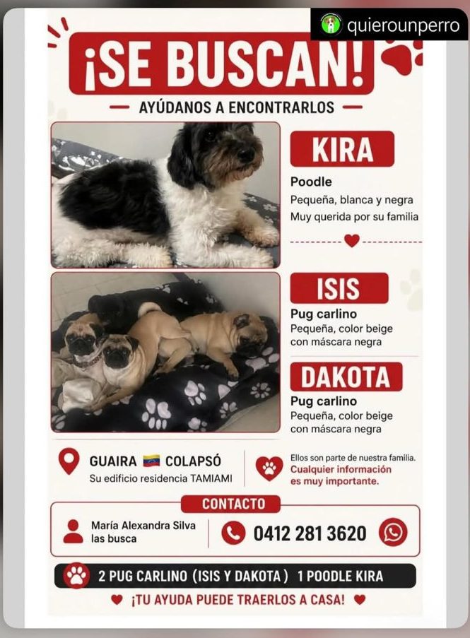 Kira, Isis y Dakota