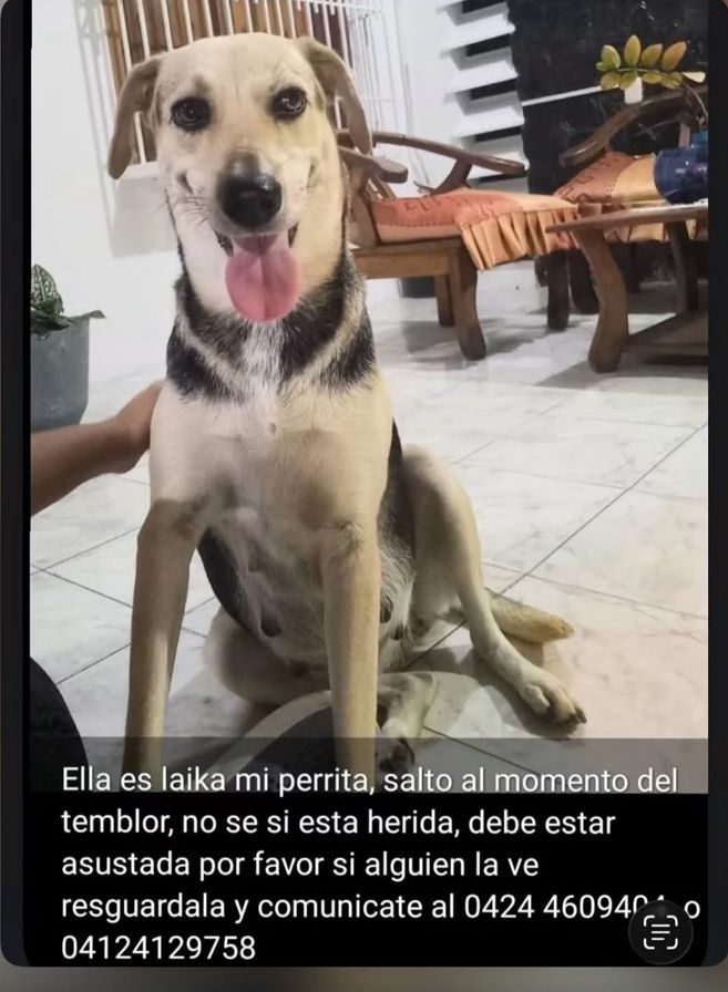 Laika