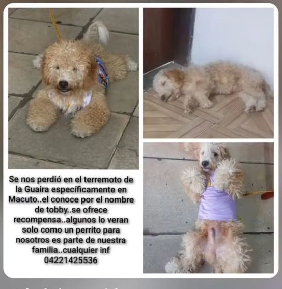Tobby