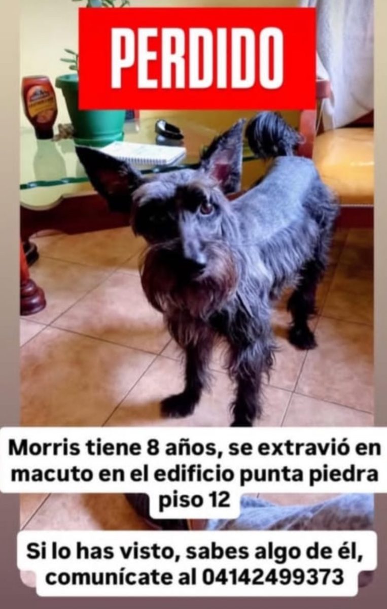 Morris