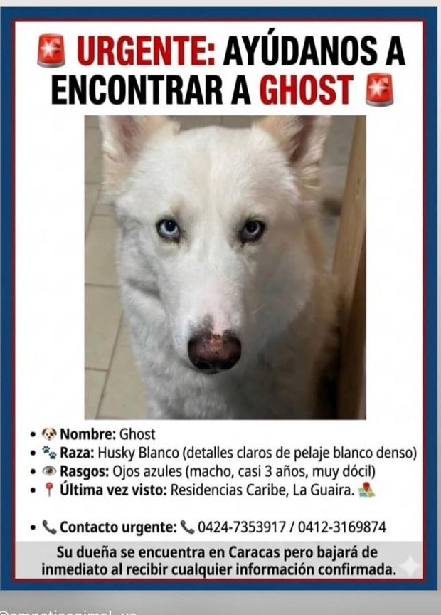 Ghost