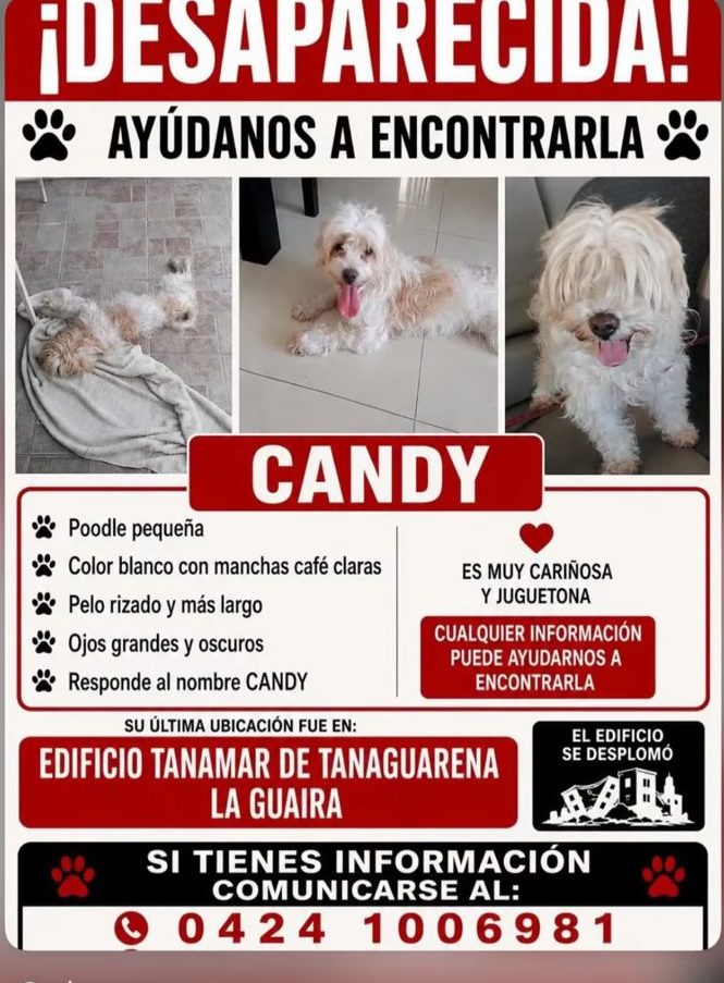 Candy